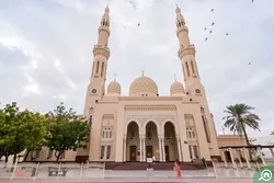 800 Mosques in Dubai to Be Sterilized