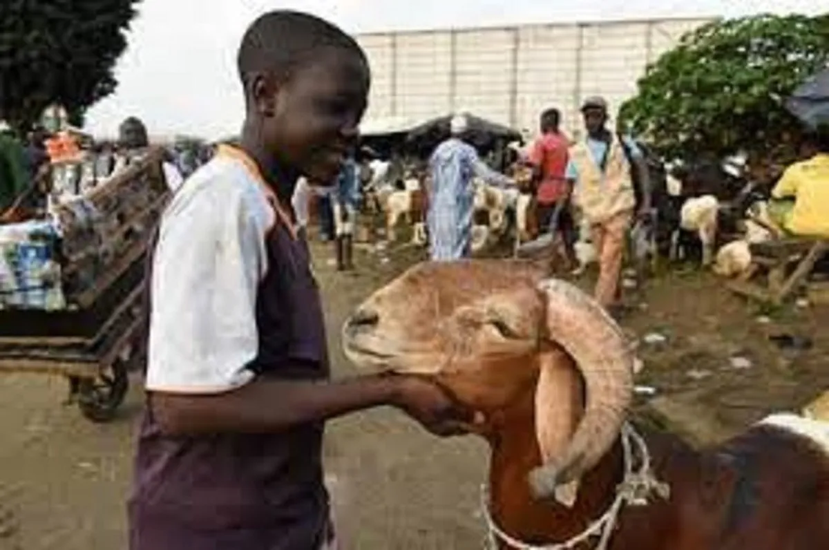 Les musulmans de la Côte d’Ivoire célèbrent l’Aïd el Kébir