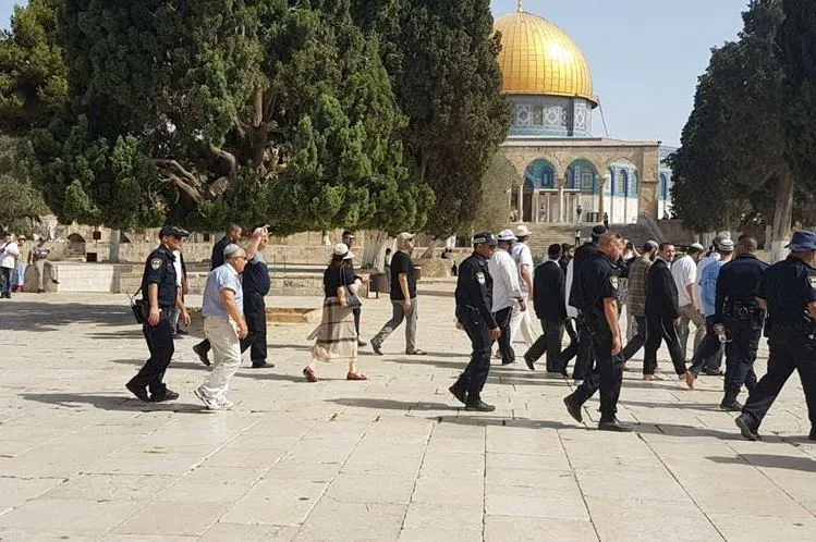 Gerusalemme, orde di coloni invadono al-Aqsa