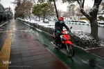 بارش اولین برف پاییزی در مشهد
