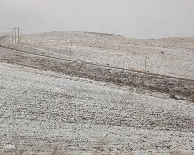 بارش برف در شهرستان اهر