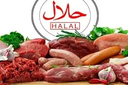 Viande halal : les exportateurs russes s’intéressent aux marchés du Moyen-Orient
