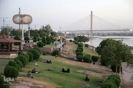 دست در دست کرونا ویروس