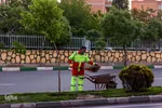 مدافعان پاکیزگی