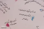 جشن سینمای کودک و نوجوان در اصفهان
