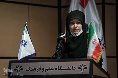 پویا محمودیان، معاون صنایع دستی و هنر‌های سنتی وزارت میراث فرهنگی، گردشگری و صنایع دستی در نشست توسعه اقتصاد صنایع خلاق فرهنگی