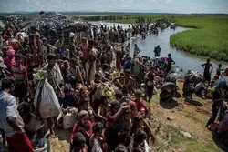Myanmada 96 raxinli müsəlman həbs edildi
