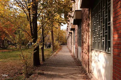 طبیعت پاییزی تبریز