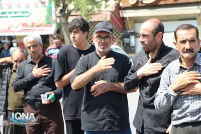دسته عزاداری روز شهادت امام رضا(ع) در ملایر