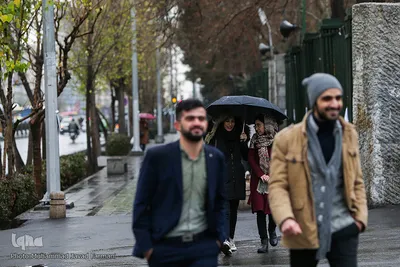 بارش باران در تهران 