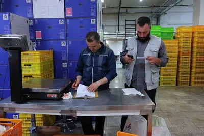 ذبح و توزیع گوشت قربانی بین نیازمندان در تبریز