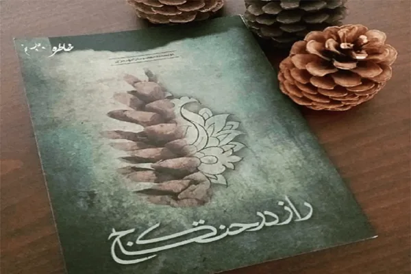 مسابقه کتاب‌خوانی «راز درخت کاج» در حرم حضرت معصومه(س)