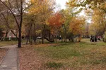 طبیعت پاییزی تبریز