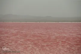 دریاچه حوض سلطان به رنگ سرخ