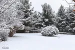 بارش نخستین برف زمستانی در ارومیه‎‎