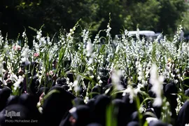 مراسم گلباران حرم مطهر رضوی در سالروز ولادت حضرت معصومه(س)