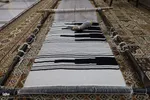 همایش گرامیداشت سردار بی بی مریم بختیاری در دومین جشنواره ملی اقوام و عشایر در چهارمحال و بختیاری‎