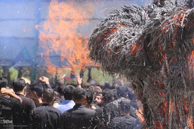 سوگواری شیرازی‌ها در روز عاشورا