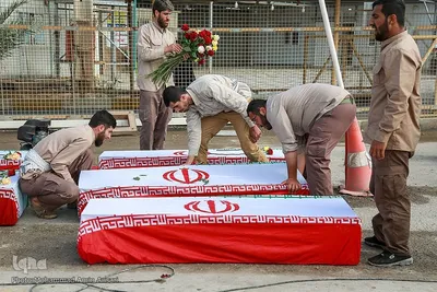 بازگشت لاله‌ها به آغوش وطن