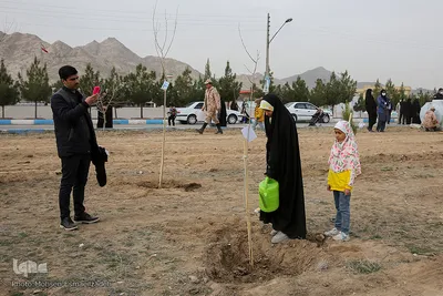 پویش سراسری درختکاری - مشهد
