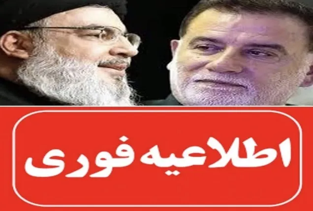 پیکر سردار شهید نیلفروشان پیدا شد