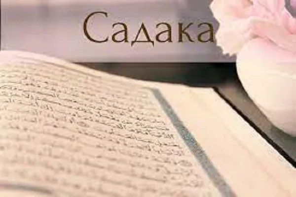 Чат бот для сбора садака