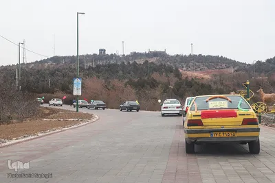 کاروان شادی خودرویی گل نرگس در تبریز‎‎