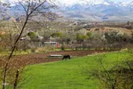 طبیعت بهاری شهرستان اهر
