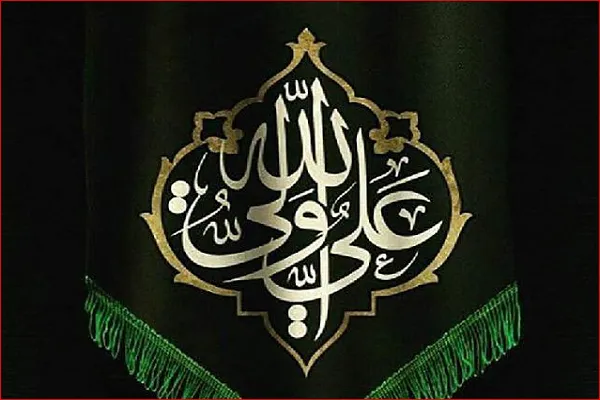 سیره علوی؛ موضوع نشست ایرانیان در دهلی نو