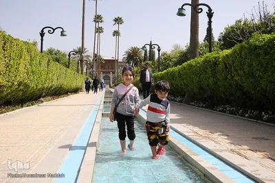 باغ دلگشای شیراز‎‎