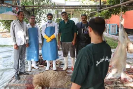 عید قربان، عید همدلی؛ ذبح بهداشتی قربانی در شیرخوارگاه آمنه برای نیازمندان