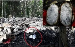 আগুনে বসতঘর ভস্মীভূত তবুও অক্ষত কুরআন