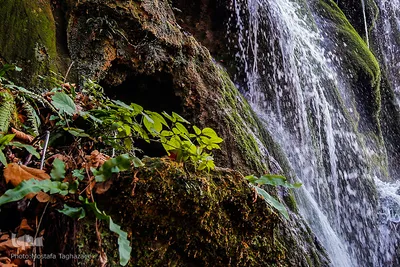 آبشار زیبای اوبن
