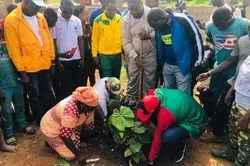 Journée nationale de l'arbre au Burkina Faso : 300 arbres plantés dans une mosquée