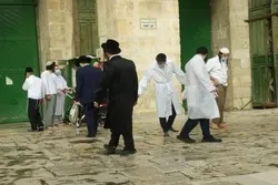 Zionistische Siedler stürmen die Al-Aqsa-Moschee + Bilder