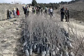 آیین درختکاری در پارک جنگلی  سد«لتیان» در شمال شرق استان تهران