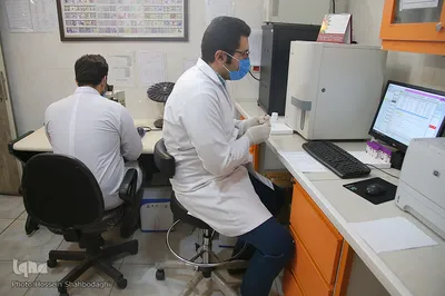 فداکاران سپیدپوش