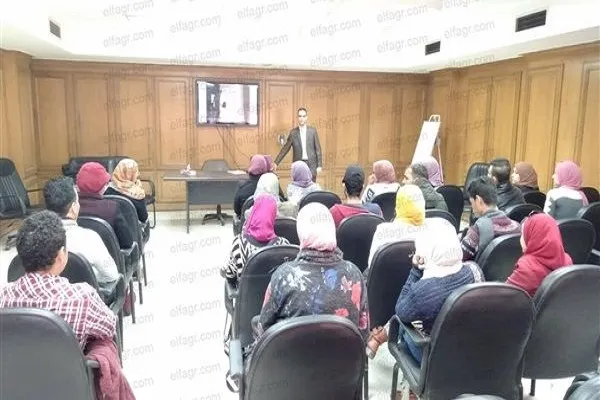 برگزاری دوره «جهانی‌سازی هنرهای اسلامی» در مصر