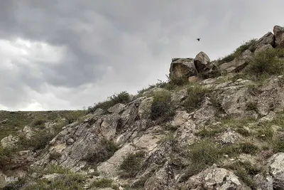 طبیعت بهاری روستای کسانق اهر