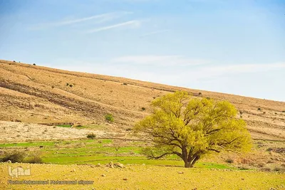 پیوند انسان و طبیعت در اندیکا