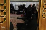 همایش مداحان و شعرای آیینی ـ زنجان
