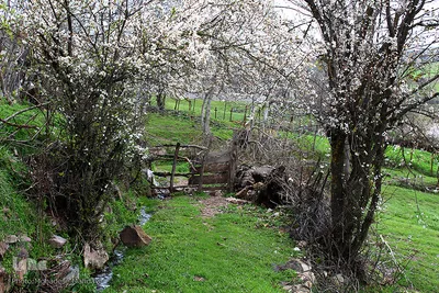 لبخند طبیعت در جلگه گیلان