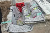 نشان افتخار دیگری بر گردن دیار مینودری آویخته شد