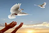 گذشت اولیای دم از قصاص در ایام اعیاد شعبانیه