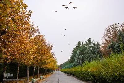 پاییز تهران ۱۳۹۷