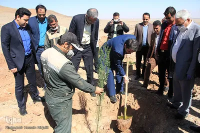 مراسم روز درختکاری در یزد