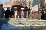 عکس | ادای احترام دانشگاهیان پیام نور اردبیل به مقام شامخ شهدا