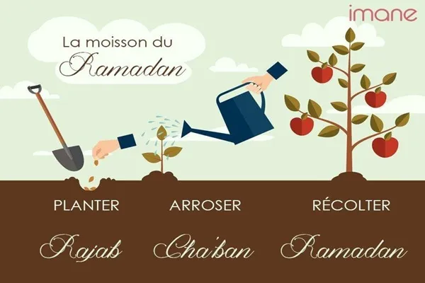 Rajab, mois de Dieu : Fondements historiques, dimensions spirituelle et voie de transformation intérieure