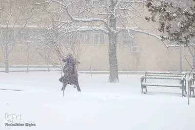 بارش سنگین برف در تبریز‎
