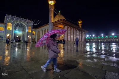 شب بارانی پاییزی در حرم حضرت شاهچراغ (ع)
